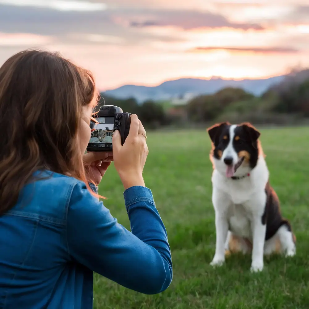 Pet Photography in St. Augustine How to Get Great Portraits of Your Dog